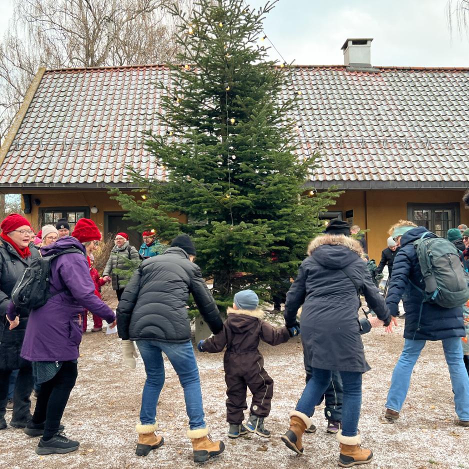 sm&aring; og store som g&aring;r rundt et juletre sammen