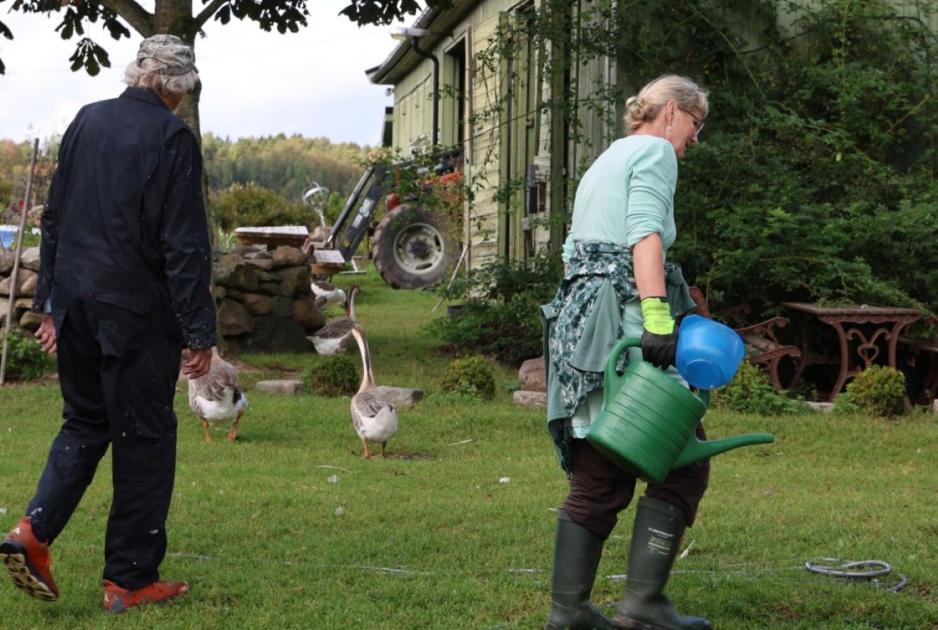 Bakke g&aring;rd