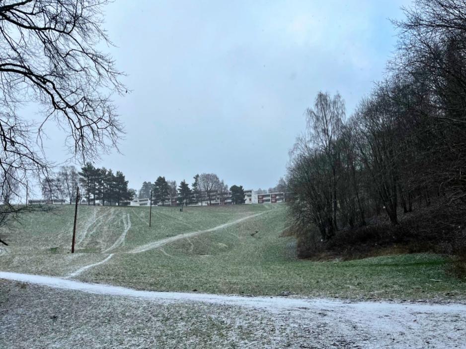 Lysejordet, eit fritidsomr&aring;det p&aring; Ullern.