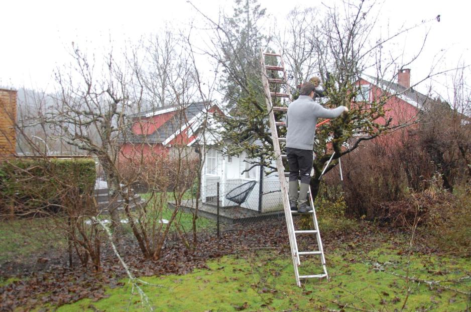 To av Sesongvaktene p&aring; ryddeoppdrag i en hage.