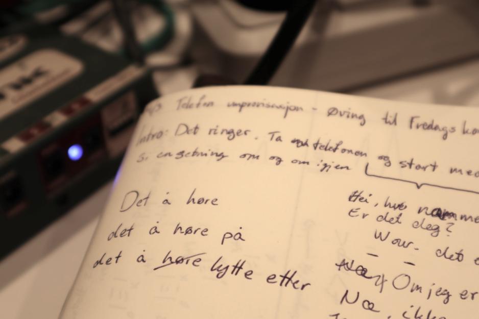 N&aelig;rbilde av skriveboka til en fra Sonisk hage