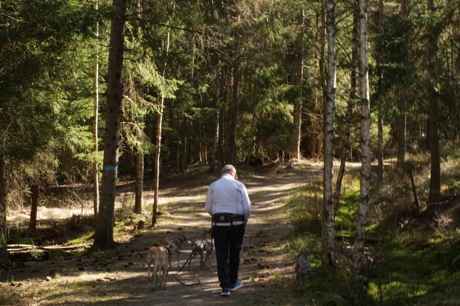 Arnulf g&aring;r i skogen