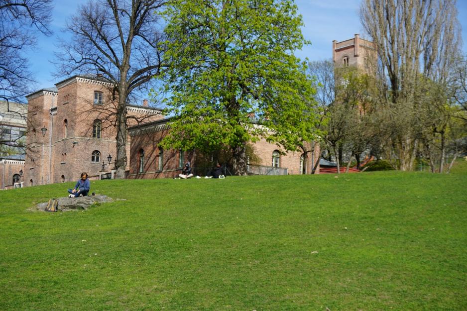 Park med mennesker