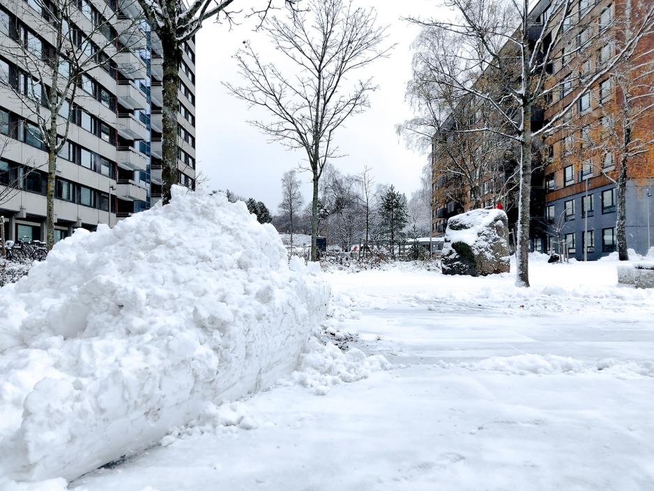 Br&oslash;ytekant med sn&oslash;