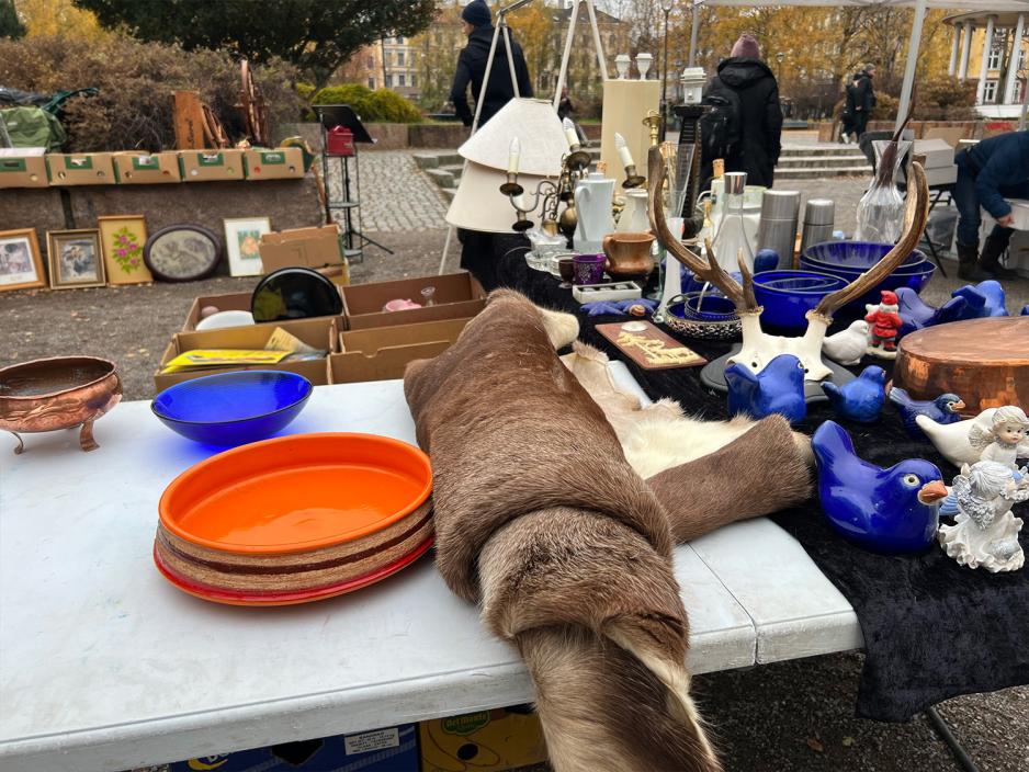 Reinskinn p&aring; et bord omkring diverse kunstgjenstander, fugler og dyrehodeskalle med gevir