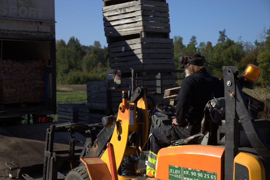 Einar Aas kj&oslash;rer vedpaller inn i traileren med gaffeltrucken sin
