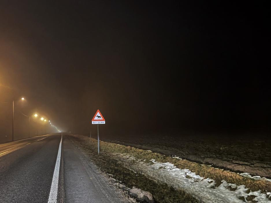 For &aring; unng&aring; viltp&aring;kj&oslash;rsler er det plassert varselskilt for &aring; minne bilistene om faren.