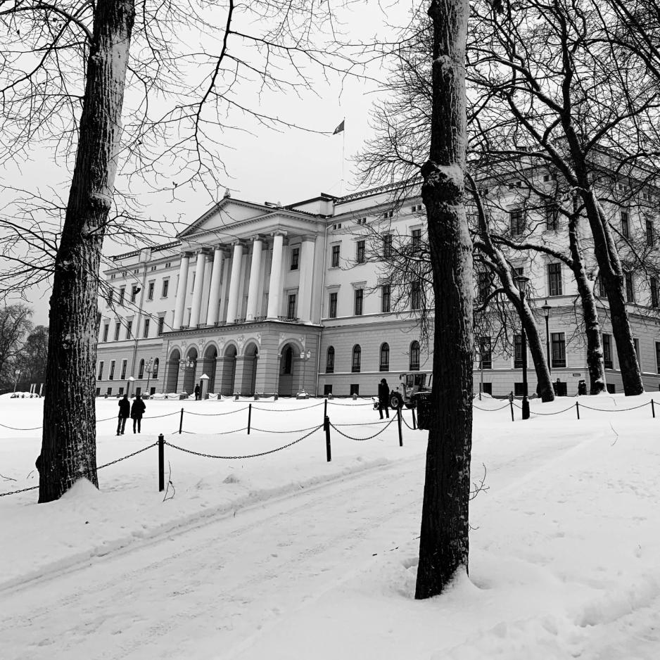 Bilde av slottet i sn&oslash;