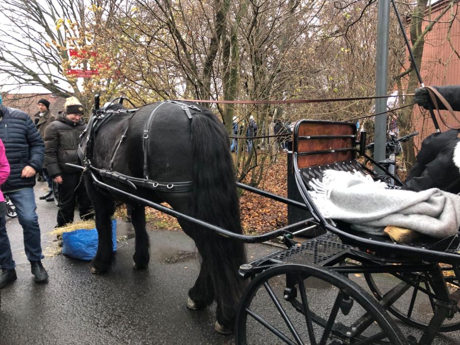 En sort hest med en vogn bak. Folk st&aring;r rundt