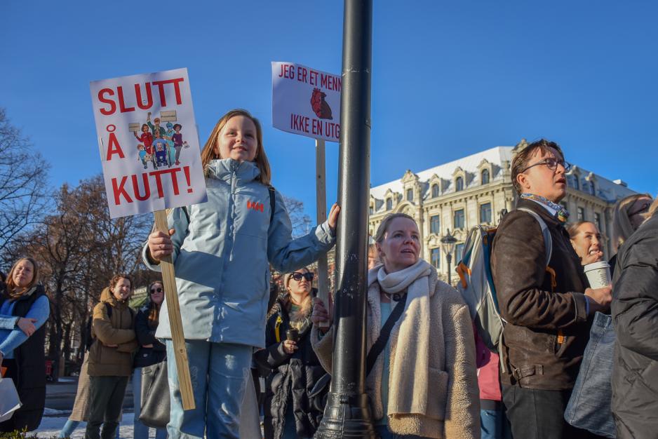 f&oslash;leger med og ser utover