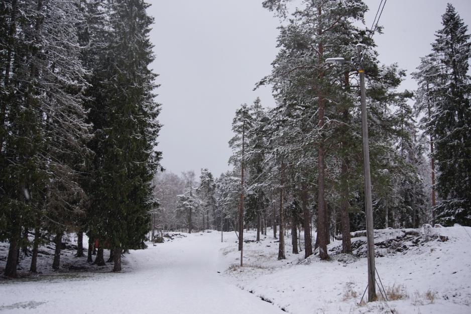 Bilde av lysl&oslash;ype p&aring; Sognsvann. 