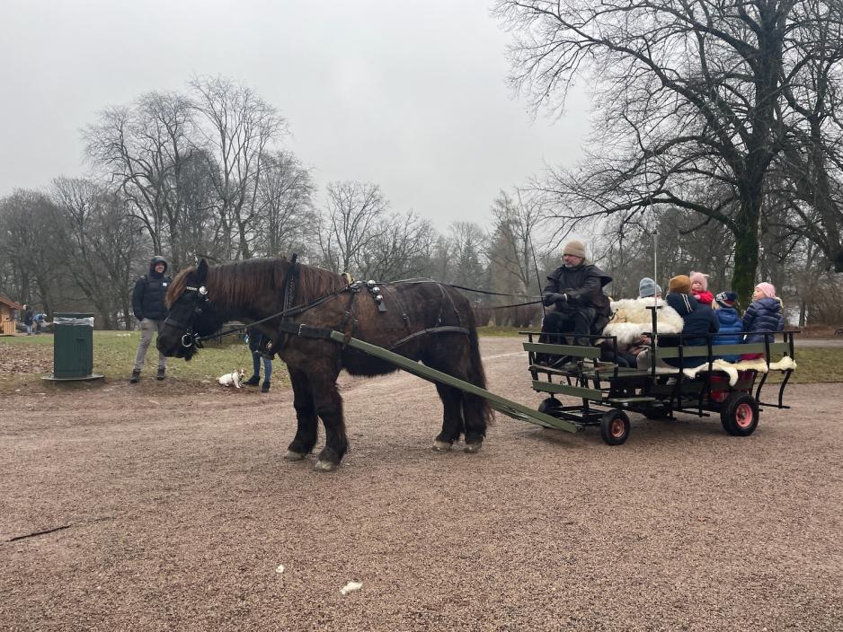 P&aring; bildet ser man en svart hest som trekker en vogn som det sitter flere mennesker i. Hesten blir styrt av en mann som sitter foran p&aring; vognen.