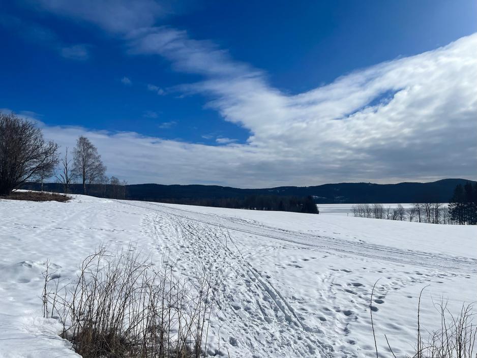 Maridalen i finv&aelig;ret 
