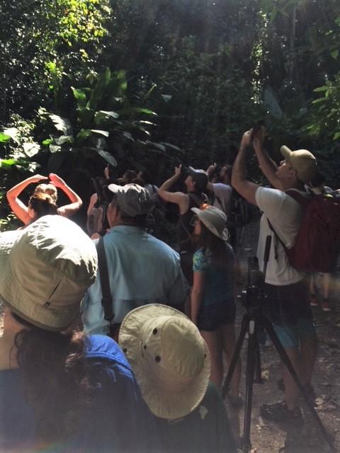 Turister i Costa Rica st&aring;r p&aring; rekke og rad og tar bilder av naturen.