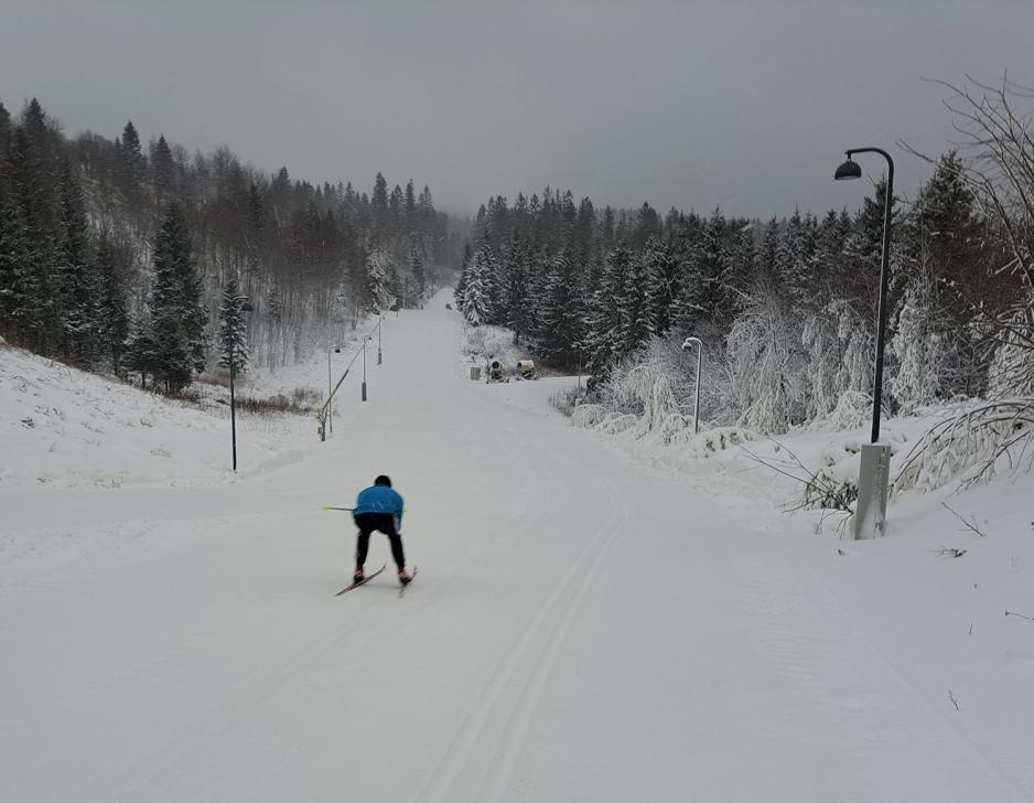 Skil&oslash;per p&aring; vei ned en langrennsl&oslash;ype i Holmenkollen
