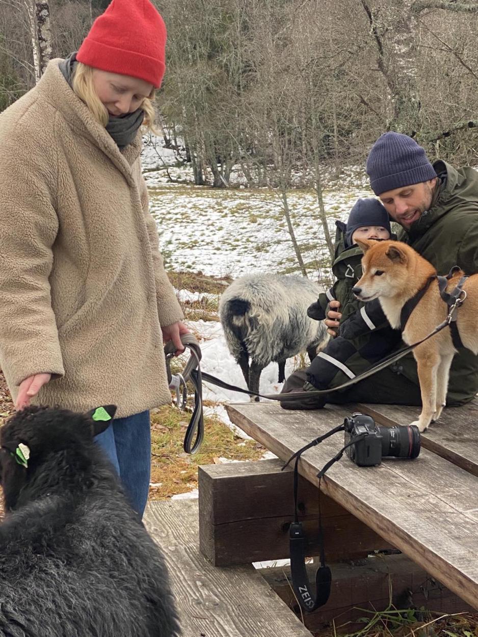 En dame, en hund, en mann, en liten gutt og tre sauer rundt. Utend&oslash;rs