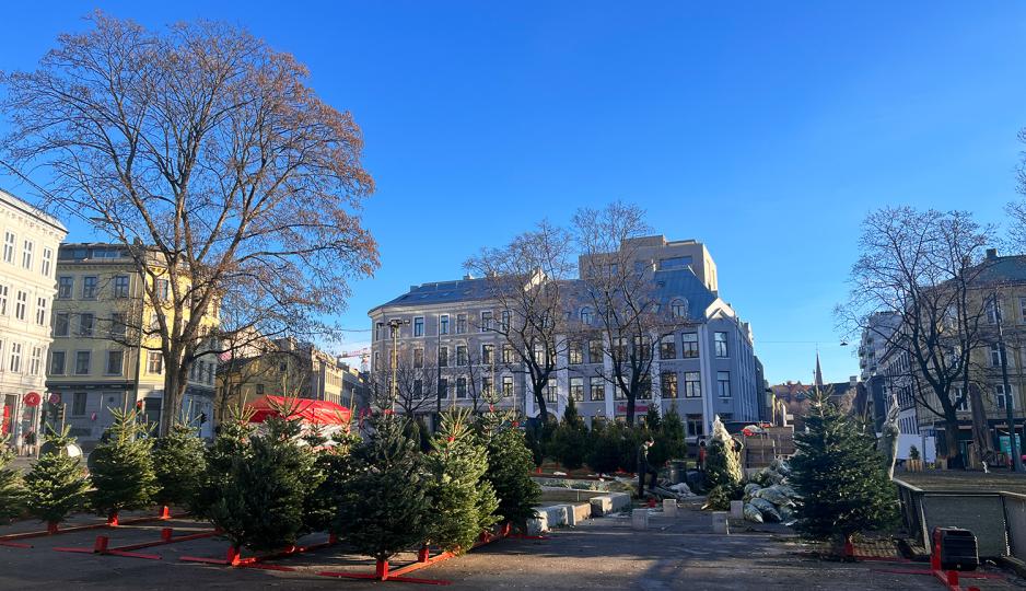 Et torg fullt av juletr&aelig;r. 