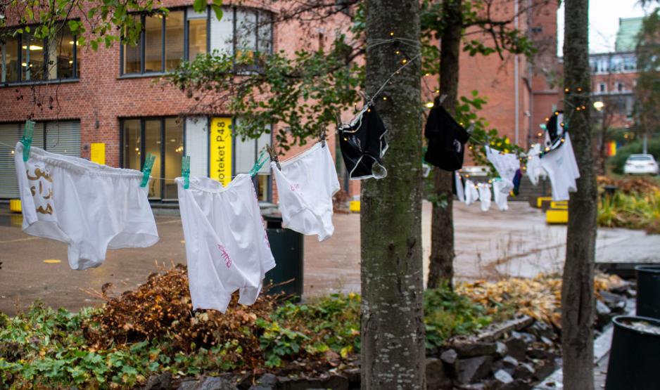 Truser som henger p&aring; en snor mellom tr&aelig;r 