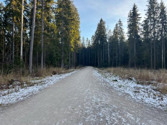 Bilde av skil&oslash;ypa p&aring; Sognsvann, det er ikke sn&oslash;