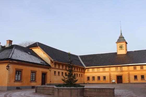 et opplyst juletre p&aring; bogstad g&aring;rd