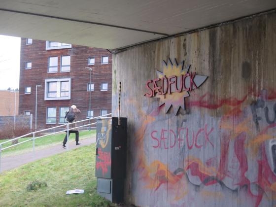 "S&aelig;dfuck"-graffitien under B&oslash;lerbrua.