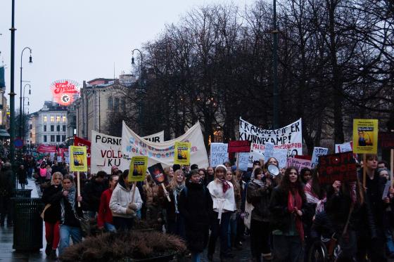 Bilde fra toget 8. mars. Her ved Karl Johan.