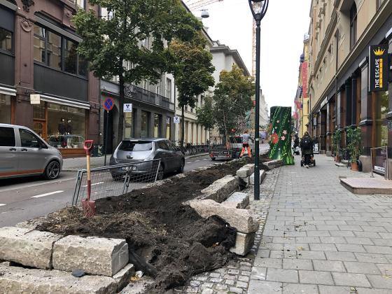 Tr&aelig;r b&aelig;res p&aring; en tilhenger ved siden av det tomme blomsterbedet