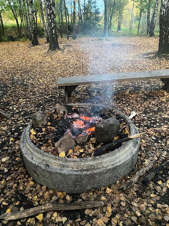 Bilde av b&aring;l i skogen