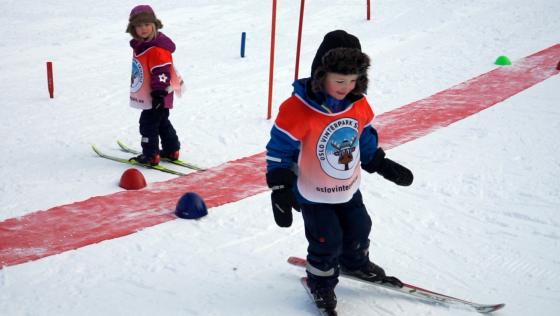 Fire barn p&aring; slal&aring;m med skiinstrukt&oslash;r 