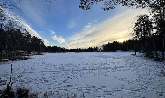 Et is-og sn&oslash;lagt Vesletjern med solen i bakgrunnen. 