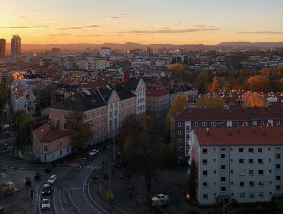 Utsikt over Oslo fra T&oslash;yen