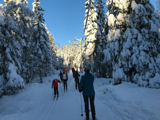 Mennesker som g&aring;r p&aring; ski etter hverandre i marka