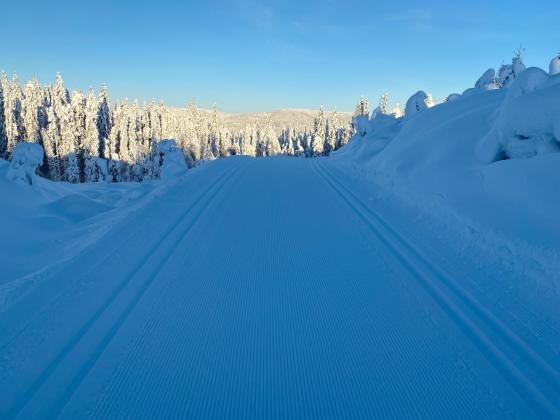 Skispor i Sn&oslash;plogh&oslash;gda i Nordmarka.