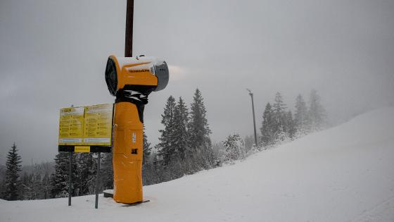 Sn&oslash;kanon