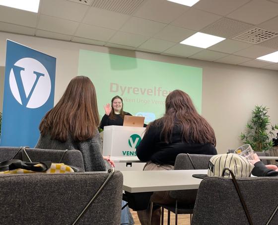 Syv av medlemmene i Viken Unge Venstre st&aring;r i et konferanserom i Venstres Hus