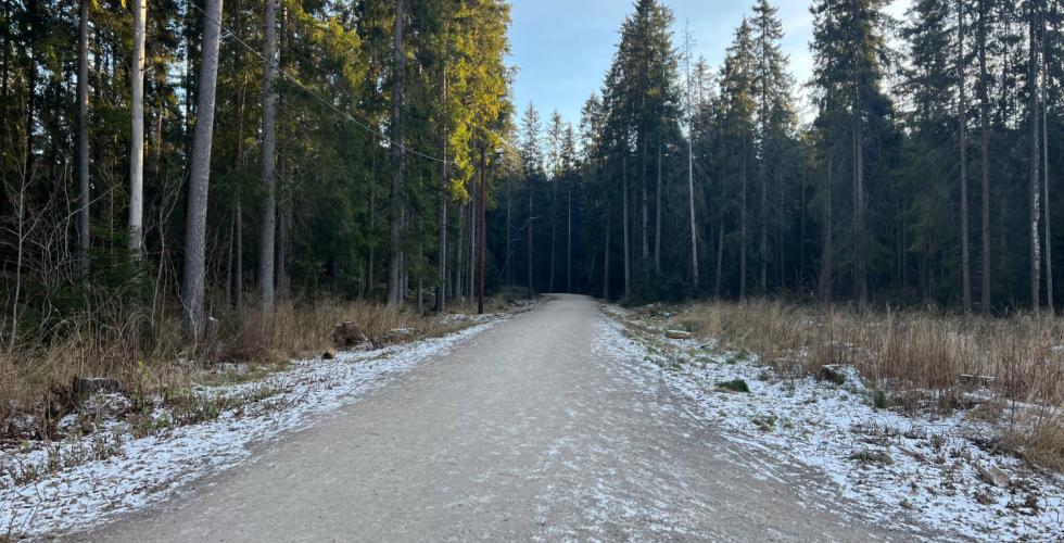 Bilde av skil&oslash;ypa p&aring; Sognsvann, det er ikke sn&oslash;