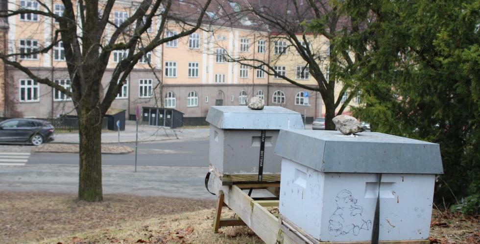 Bikube i bybildet