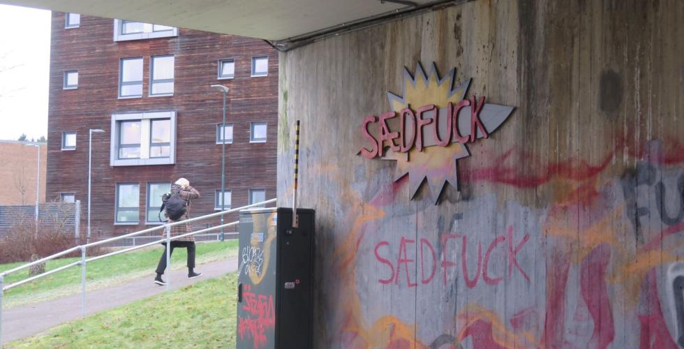 "S&aelig;dfuck"-graffitien under B&oslash;lerbrua.