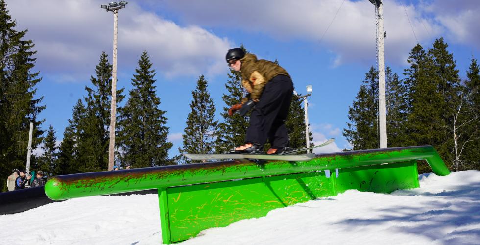 Anne Ruud ski