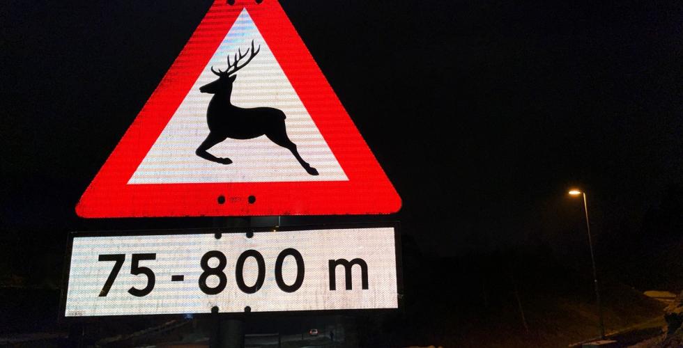 Hjorteskilt viser at sj&aring;f&oslash;ren m&aring; v&aelig;re obs for viltdyr i trafikken.