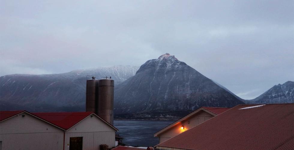 Gims&oslash;y fiskemottak som ligger ved Gims&oslash;ystraumen i Lofoten. 