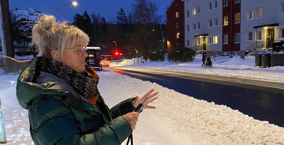 Toril Br&aelig;nd ved sykkelvei p&aring; Oppsal