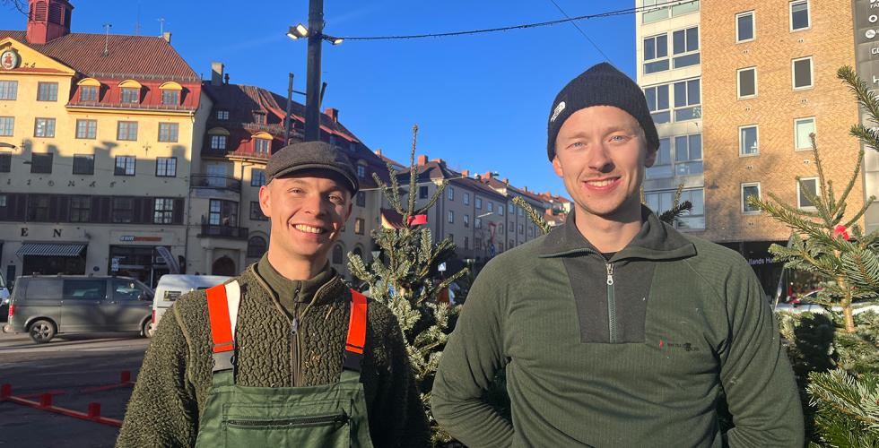 To unge karer i gr&oslash;nne kl&aelig;r, st&aring;r foran juletr&aelig;r