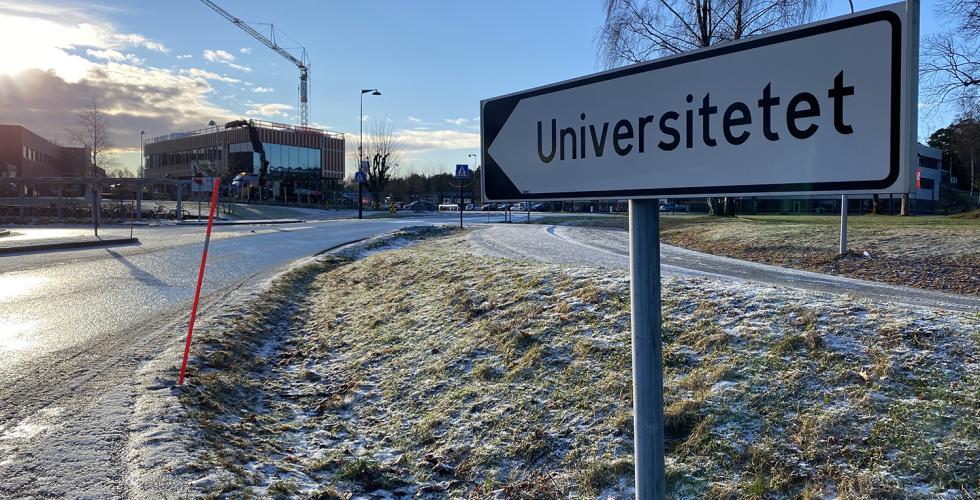 Studenter fra Agder vil ikke f&aring; gratis busskort. Foto: Mari Roland.&nbsp;